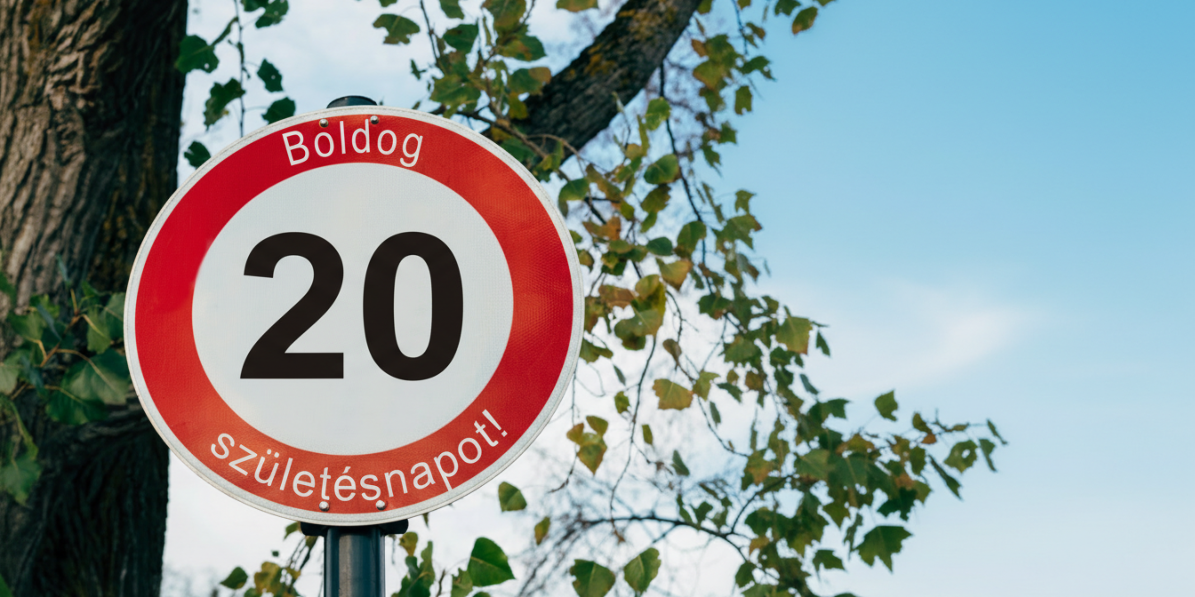 Sebességkorlátozó tábla egyedi számmal és felirattal a Gravolontól