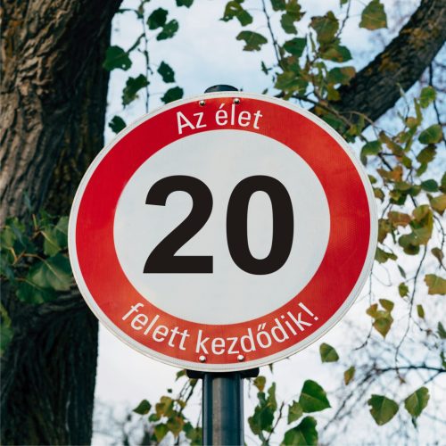 fa 20-as sebességkorlátozó szülinapi Kresz tábla - többféle szöveggel