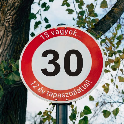 fa 30-as sebességkorlátozó szülinapi Kresz tábla - többféle szöveggel