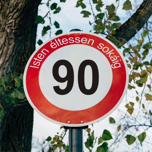fa 90-es sebességkorlátozó szülinapi Kresz tábla - többféle szöveggel