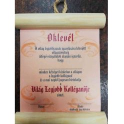 fa Elismerő oklevél: Legjobb Kolléganő részére