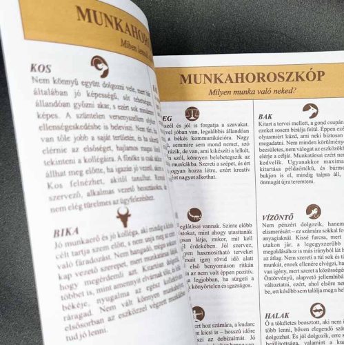 Munkahelyi búcsúztató újság