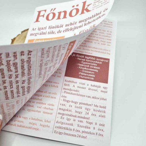 Főnök újság